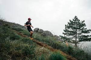 BIB: 
                            <button type="button" onclick="openModal(25998688)" class="btn btn-primary btn-sm float-right btn-popup" data-toggle="modal" data-target=".modal-high-quality">
                        <i class="fas fa-shopping-cart"></i> Add to Cart
                    </button>
                                            <button type="button" onclick="isThisMe(25998688, true)" class="btn btn-success btn-sm float-right btn-popup btn-isme hidden" data-toggle="tooltip" data-placement="bottom" title="นี่คือรูปของคุณใช่ไหม คลิกที่นี่เพื่อเอาเข้าอัลบั้ม">
                        <i class="fas fa-plus"></i> Add to album
                    </button>
                    <button type="button" onclick="isThisMe(25998688, false)" class="btn btn-warning btn-sm float-right btn-popup btn-isnotme hidden">
                        <i class="fas fa-ban"></i> Remove from album
                    </button>